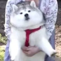 0400